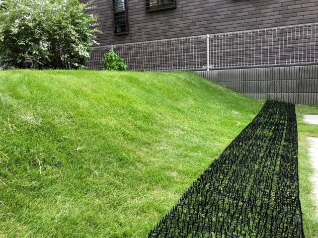 ベランダが鳩の糞だらけ 清掃と消毒ができる業者は 世田谷便利屋サービス